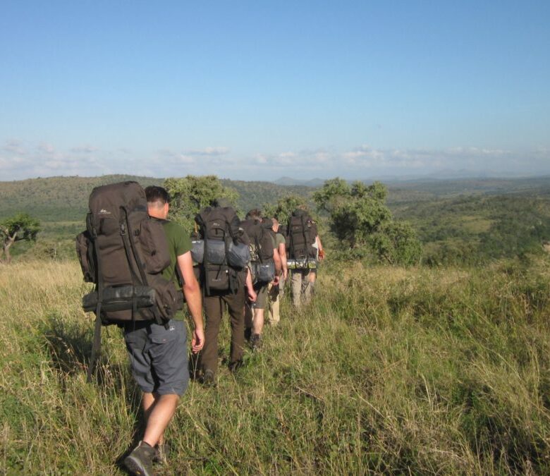 Trail groep met grote rugzakken wandelen in een uitgestrekt groen landschap