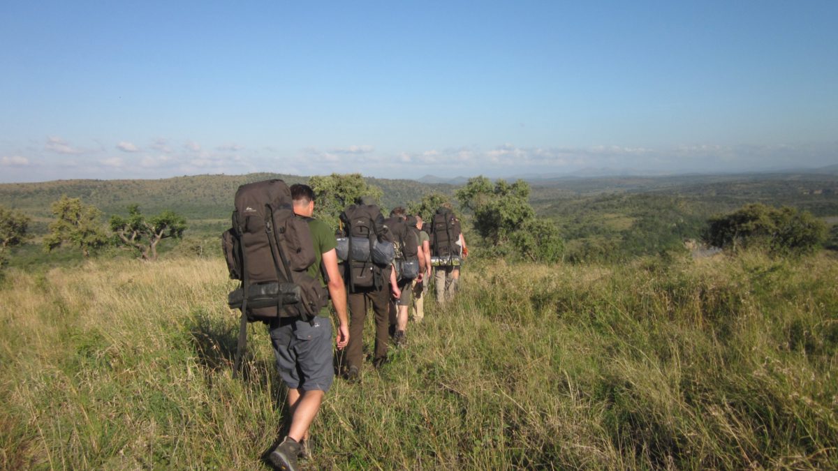 Trail groep met grote rugzakken wandelen in een uitgestrekt groen landschap