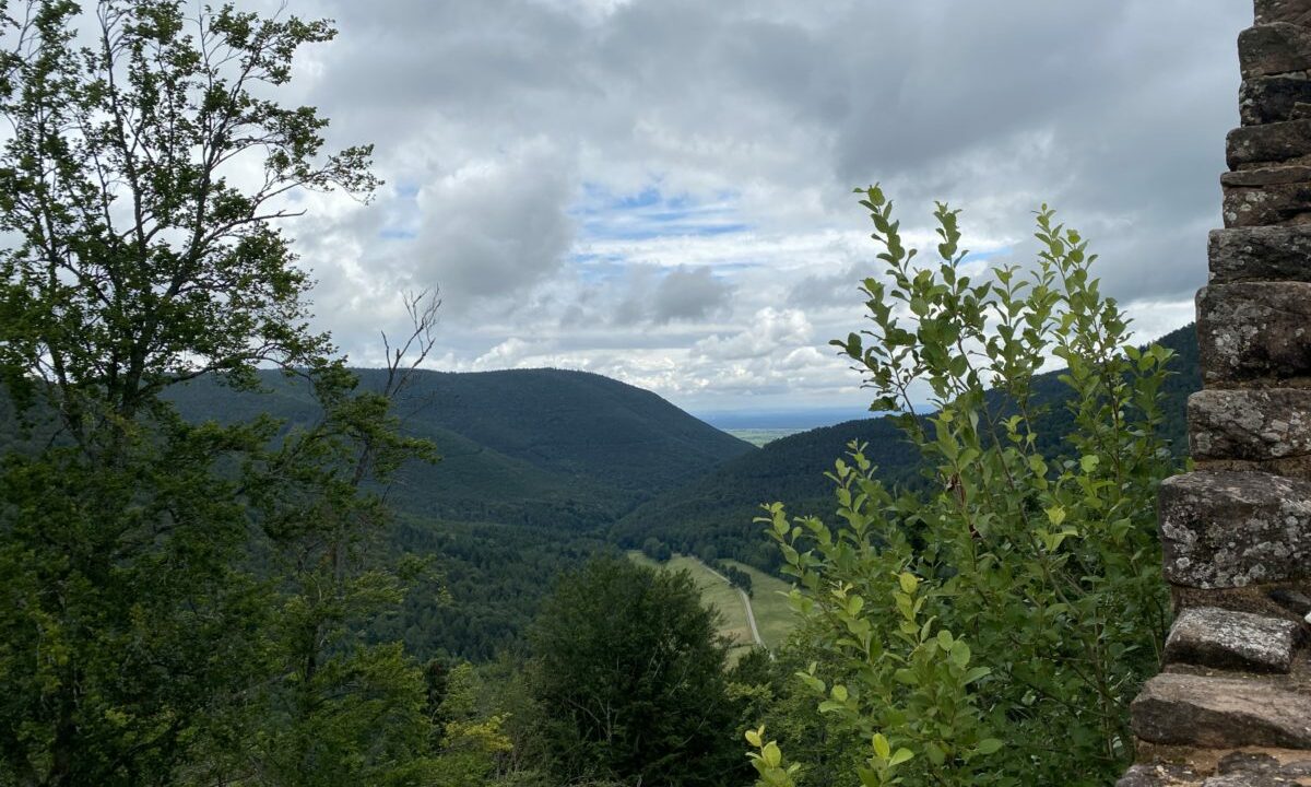 Uitzicht op groene bergen en dalen in Duitsland, met een boom en een stenen muur op de voorgrond