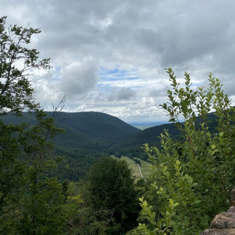 Uitzicht op groene bergen en dalen in Duitsland, met een boom en een stenen muur op de voorgrond