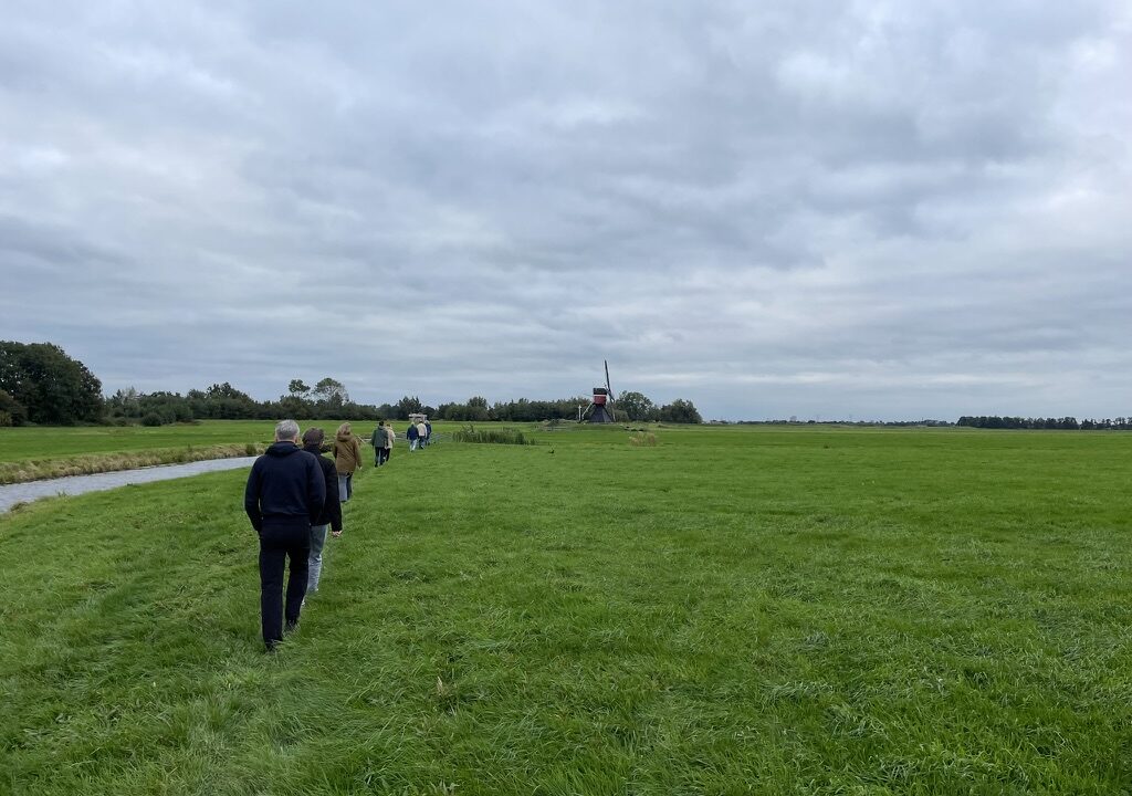Groep facilitators wandelen op een groen veld
