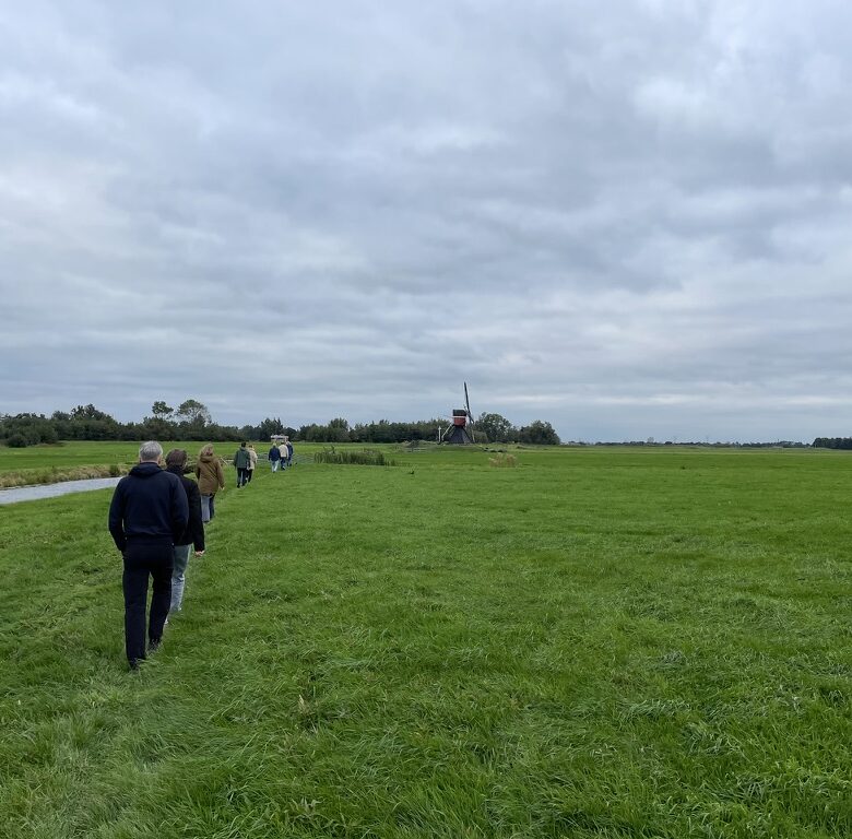 Groep facilitators wandelen op een groen veld