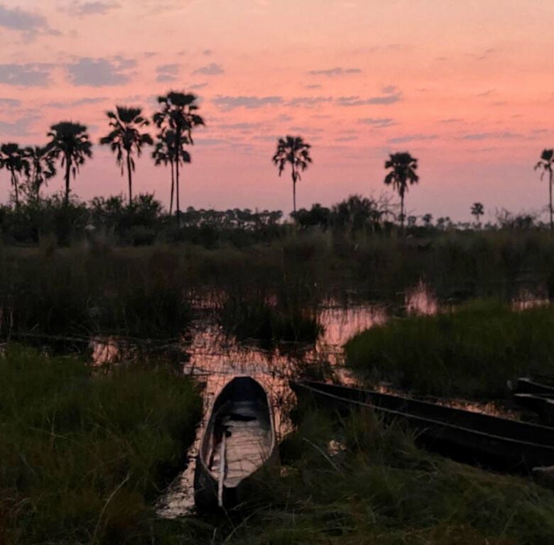 Stilliggende kano bij zonsondergang met palmbomen op de achtergrond