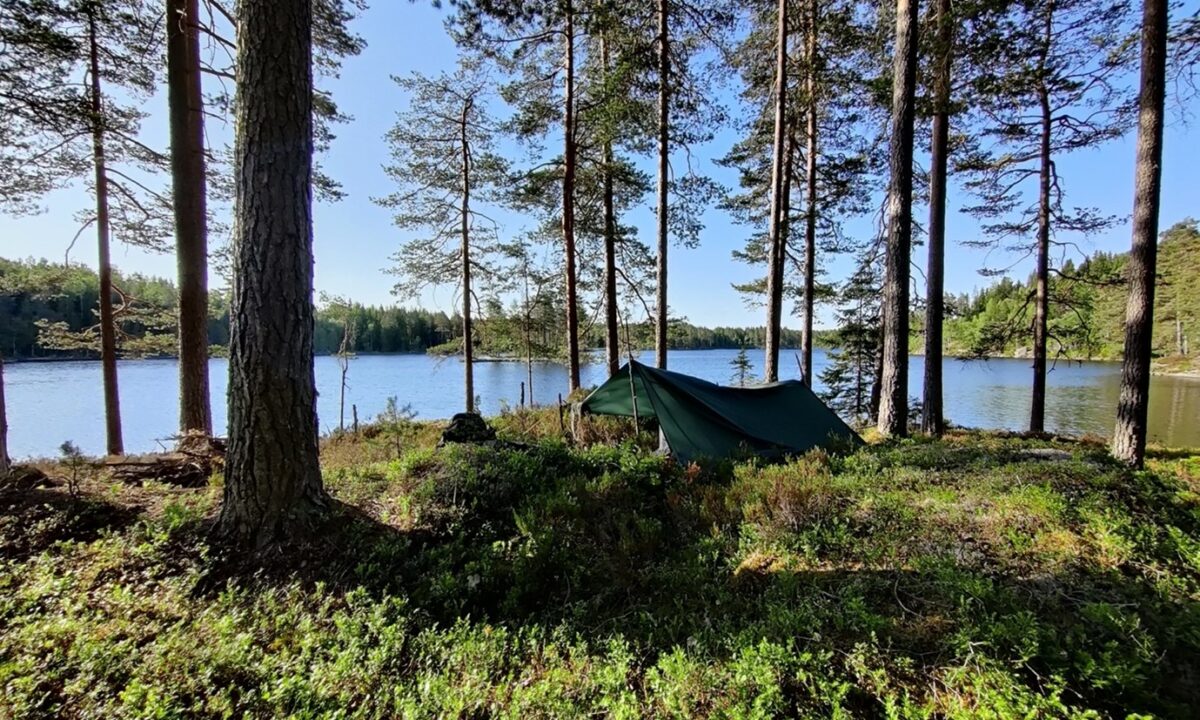 Opgezette tent aan de oever van een meer omringd door bomen